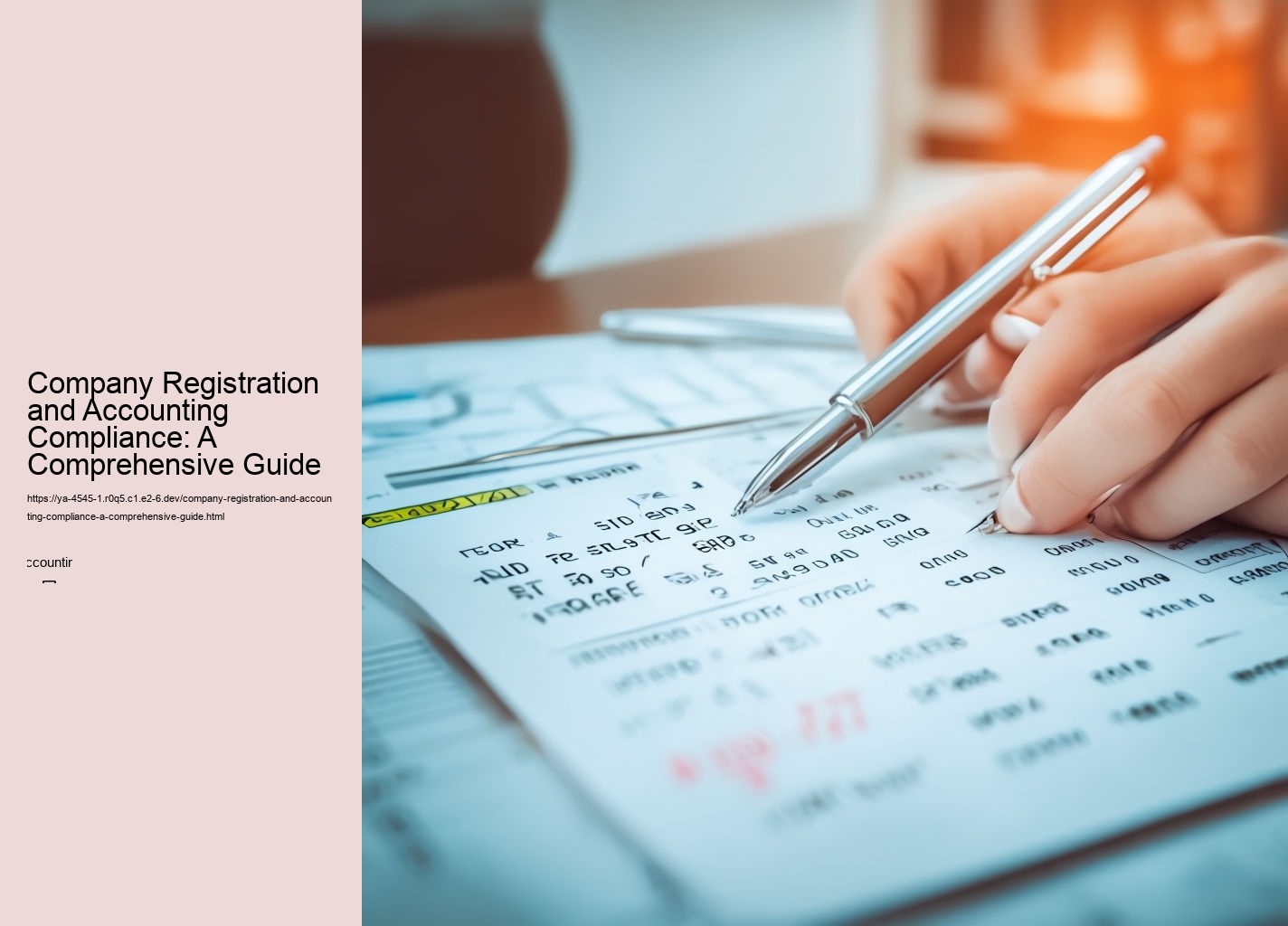 Company Registration and Accounting Compliance: A Comprehensive Guide