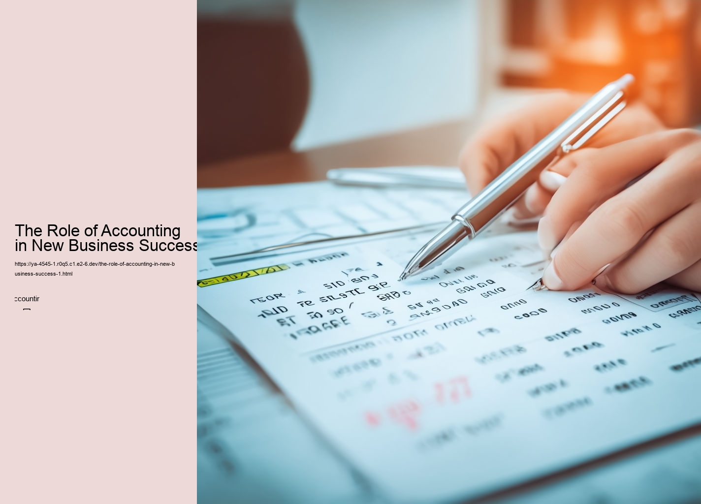 The Role of Accounting in New Business Success